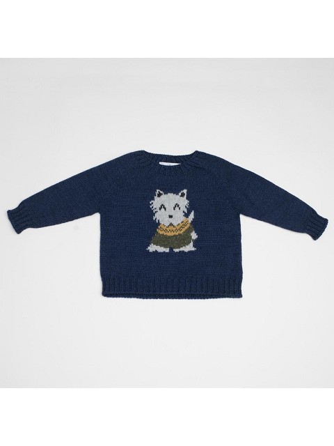 Sweater wool dog